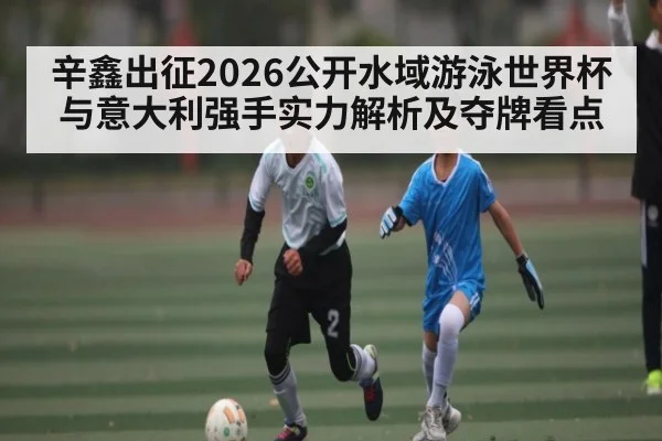 辛鑫出征2026公开水域游泳世界杯与意大利强手实力解析及夺牌看点